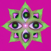 Spirit Vine Ayahuasca Retreat Center logo - Similar company to Ayahuasca Foundation