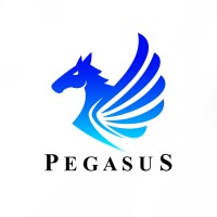 Pegasus Fitness logo - Similar company to Racks Labs