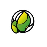 Mango Brasileiro logo - Similar company to Amazon Traders