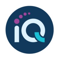 IQ & PARTNERS HOLDING logo - Similar company to Kikou