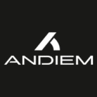 ANDIEM logo - Similar company to Regular Hoops 🏀