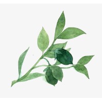 789 logo - Similar company to Allyservices.Tech