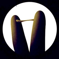 STARSOF AR logo - Similar company to Markavizyon