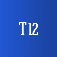 T12 logo - Similar company to Quecloudsolutions