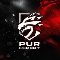 PuR Esport logo - Similar company to Mydid