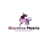 BlackLine Matrix logo - Similar company to Zeenara