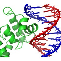 Biosolution technologies logo - Similar company to Biotech Support Services And Research