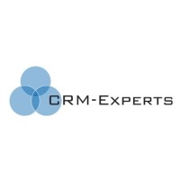 CRM-EXPERTS logo - Similar company to Perspective Consulting