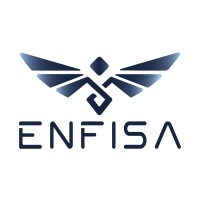 ENFISA logo - Similar company to Regen Allograft