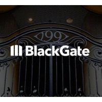 Black Gate Partners logo - Similar company to Element8 Partners