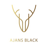 Ajans Black logo - Similar company to Insights Peak