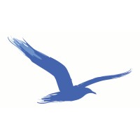 Regatta Research & Money Management LLC logo - Similar company to Northlight Asset Management