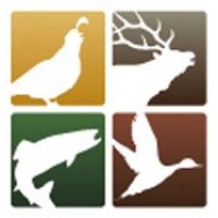 New Mexico Wildlife Federation logo - Similar company to New Mexico Open Elections