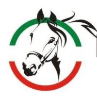 Power Zone Electrical Equipment Trading LLC. logo - Similar company to Ruby Packaging Materials Trading Llc