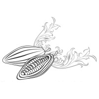 DE LA FEVE AU PALAIS logo - Similar company to Criollo Chocolatier Toulouse