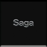 Saga logo - Similar company to Dongguan Hanhe Gem Co,. Ltd