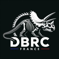 DBRC Découpe Béton Renforcement Carbone logo - Similar company to Kavik