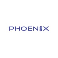Phoenix Data Solutions Ltd logo - Similar company to Phoenix Data Center Solutions, Llc