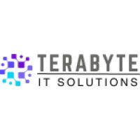 Terabyte IT Solutions logo - Similar company to Blue Squirrel Software Ltd