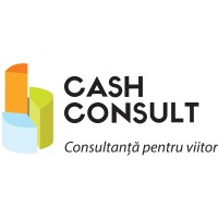 CASH CONSULT TEAM logo - Similar company to Ifink! Finance