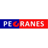 PE Cranes | Overhead Cranes and Components logo - Similar company to Nqcranes