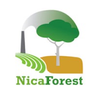 Nicaforest logo - Similar company to Adopteer Regenwoud