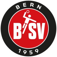 BSV Bern logo - Similar company to Berncity