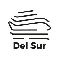 Del Sur Consultores Aeronáuticos logo - Similar company to Mack Aerospace Consulting