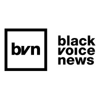 Black Voice News logo - Similar company to The Black Voice Project