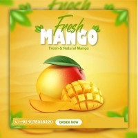 Alphonso Mangoes logo - Similar company to Alphonso Mangoes