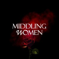 Middling Women Ltd logo - Similar company to Red Gambit