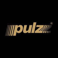 Pulz Electronics Ltd. logo - Similar company to Baassfx