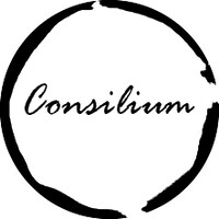Consilium Global logo - Similar company to Consilium Global Advisors