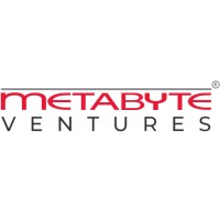 Metabyte Ventures, LLC logo - Similar company to Teamanics