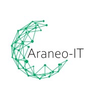 Araneo-IT logo - Similar company to Jvd Ict