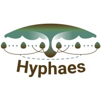 Hyphaes logo - Similar company to Get Set Rocket