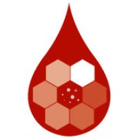LumediX logo - Similar company to Mathym