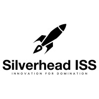 Silverhead Innovation Strategies and Solutions logo - Similar company to Brainny Solution
