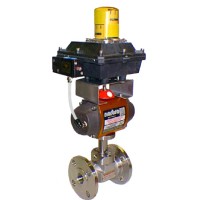 BSS Pegler and Louden logo - Similar company to Pegler
