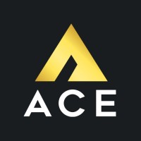 ACE 王牌加密貨幣交易所 ACE Crypto Exchange logo - Similar company to Hiero7