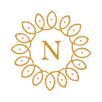 Nakkashi logo - Similar company to Psytech Infosolutions (India) Private Limited