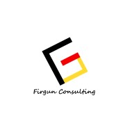 Firgun Consulting