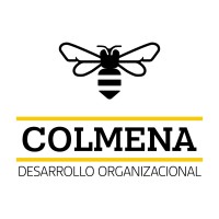 COLMENA DESARROLLO ORGANIZACIONAL logo - Similar company to Strate^G