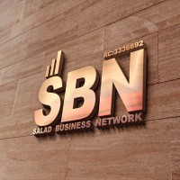 SBN TechPlus logo - Similar company to The Light Strategy Forge
