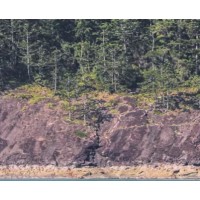 GPIC logo - Similar company to Gpic Build & Design