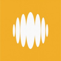 Primitive logo - Similar company to Memory Air