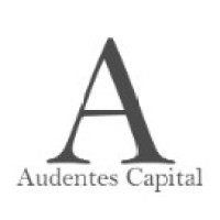 Audentes Capital Group LLC logo - Similar company to Audentes Capital