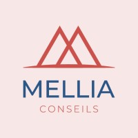 Mellia Conseils logo - Similar company to Netmanagerpro