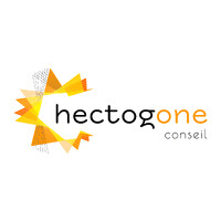 Hectogone Conseil logo - Similar company to Groupe Lems