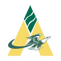 Arlington Financial logo - Similar company to Transaction Advisory Services
